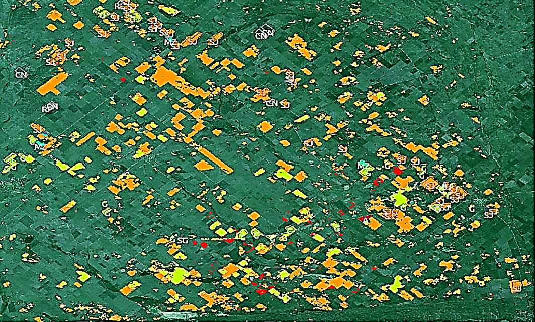 Visión por Computadora